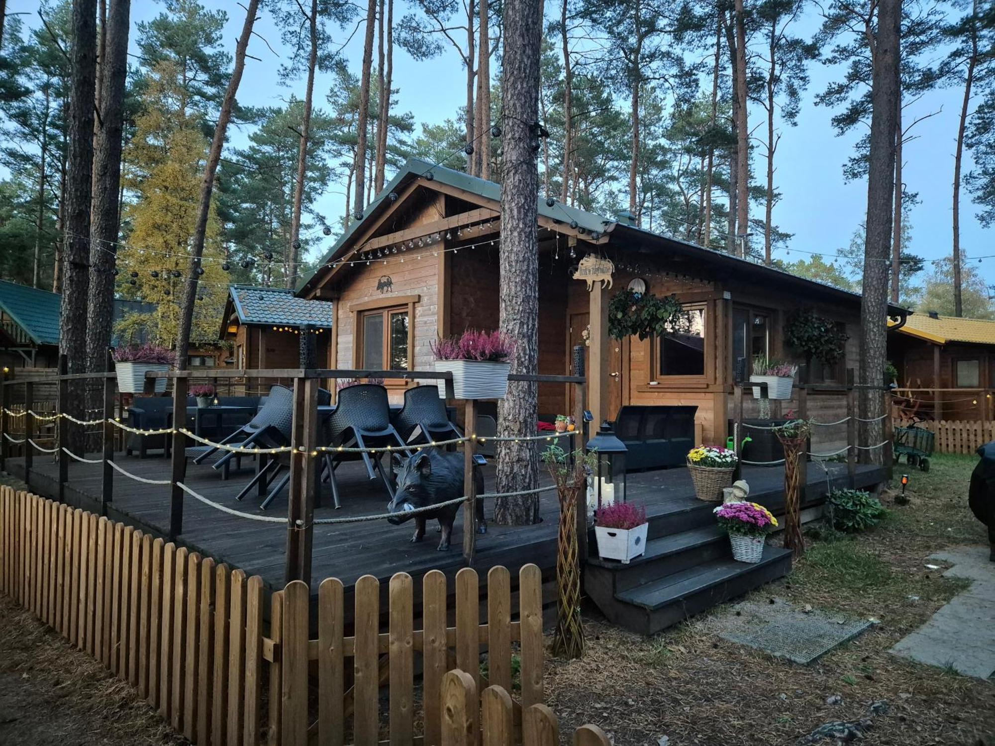 Dzik W Zagrodzie Hotel Borsk Exterior photo
